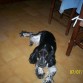 Con 3 añazos